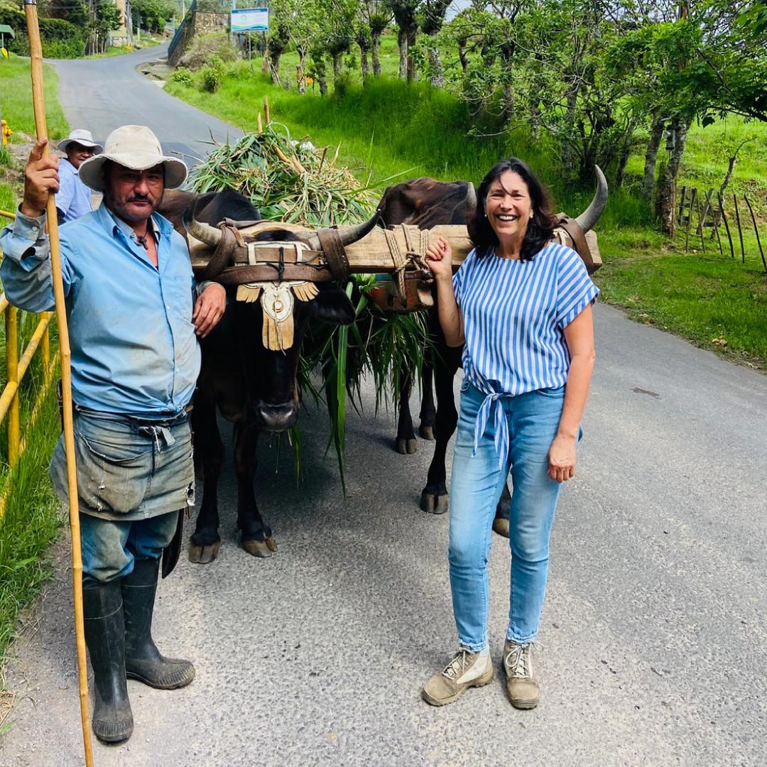 Cultivos de Bebedero