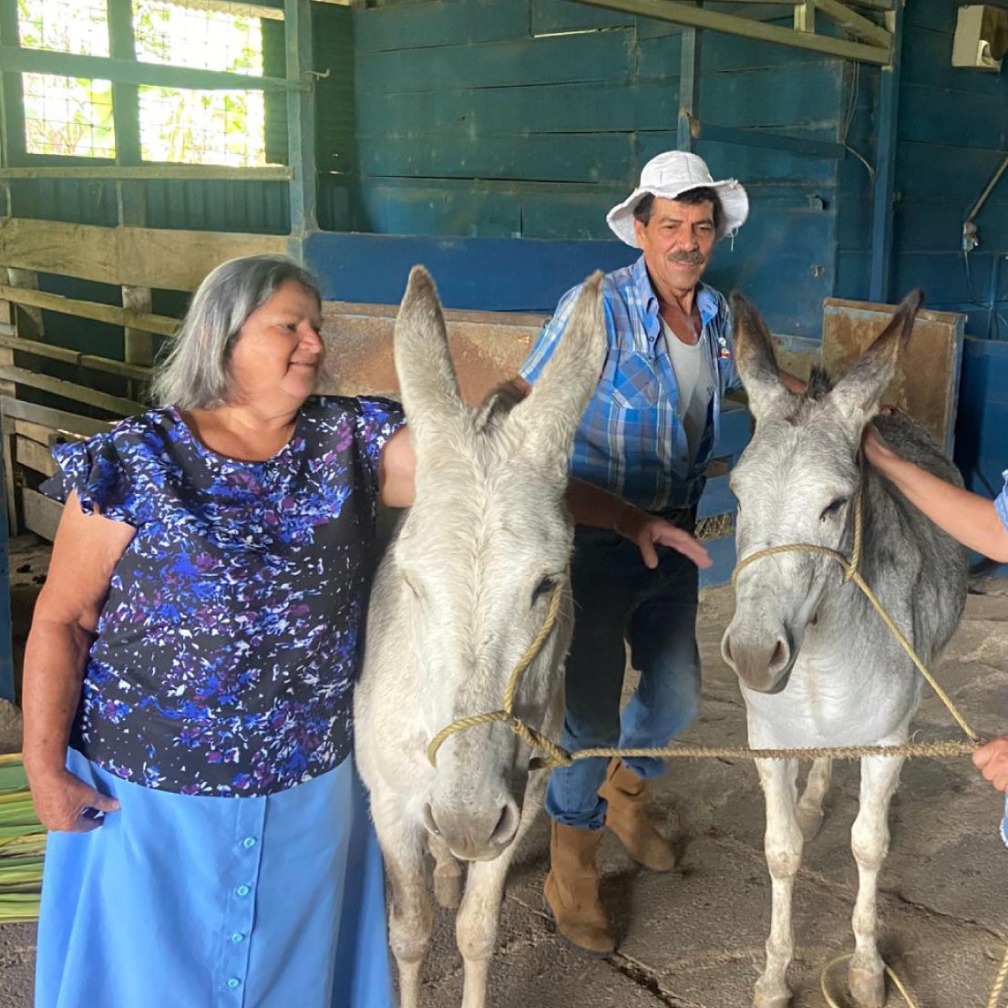 Productores agrícolas