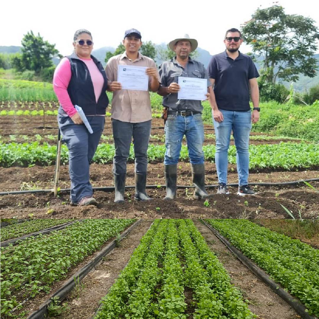 Finca Agrícola Vica León